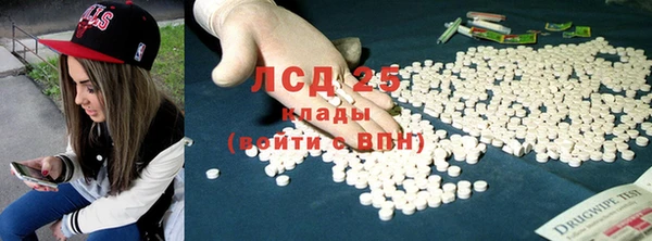 крисы Алексин